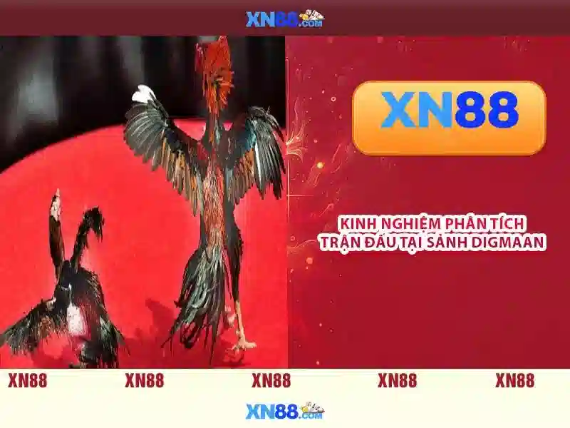 xn88 ve chung toi: Nền tảng cược trực tuyến an toàn, minh bạch và uy tín