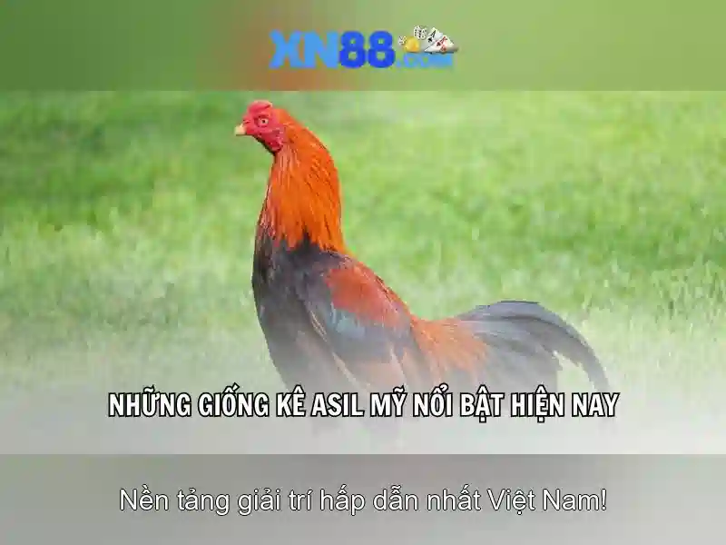 xn88 – Đăng ký xn88 và Trải nghiệm Cược Trực Tuyến An Toàn xn88 – Đăng ký xn88 và Trải nghiệm Cược Trực Tuyến An Toàn