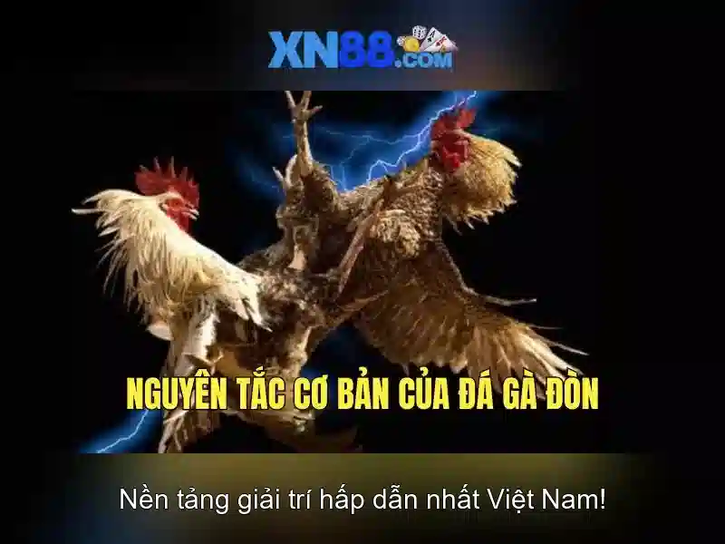 xn88 – Đăng ký xn88 và Trải nghiệm Cược Trực Tuyến An Toàn xn88 – Đăng ký xn88 và Trải nghiệm Cược Trực Tuyến An Toàn