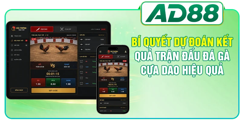 Đá Gà Cựa Dao - Cập Nhật Quy Định, Bí Quyết Tham Gia