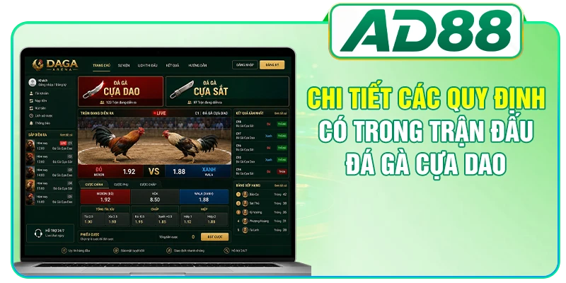 Đá Gà Cựa Dao - Cập Nhật Quy Định, Bí Quyết Tham Gia