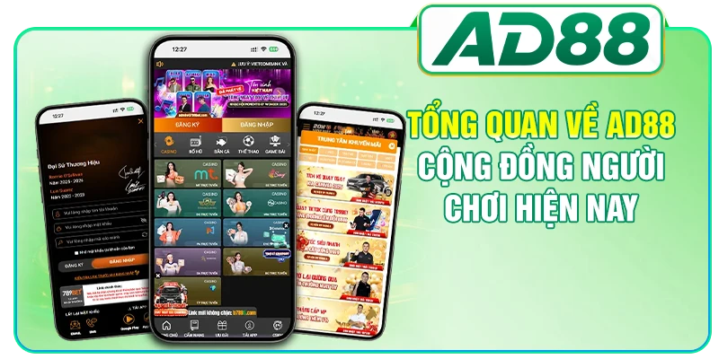 AD88 Cộng Đồng Người Chơi - Chi Tiết Về Quy Mô Nhà Cái